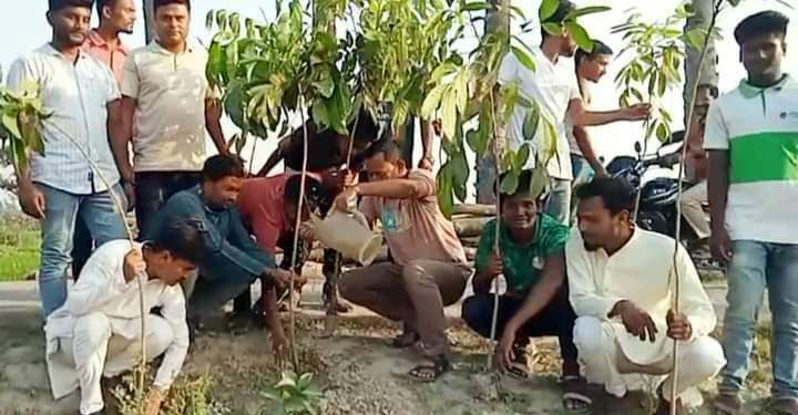 পাঁচবিবিতে ছাত্রলীগের বৃক্ষ রোপন ।