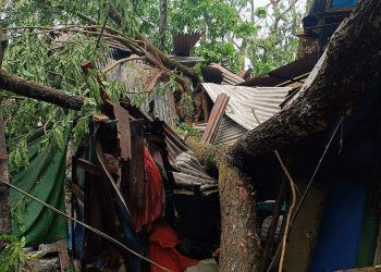 বাউফলে কাল বৈশাখী ঝড়ের তান্ডব, মৃত ০৩