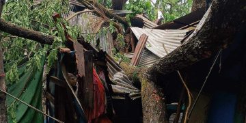 বাউফলে কাল বৈশাখী ঝড়ের তান্ডব, মৃত ০৩