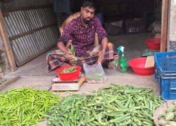 বাগেরহাটে সবজিতে স্বস্তি, তবে চোখ রাঙাচ্ছে ঝিঙা