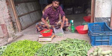 বাগেরহাটে সবজিতে স্বস্তি, তবে চোখ রাঙাচ্ছে ঝিঙা