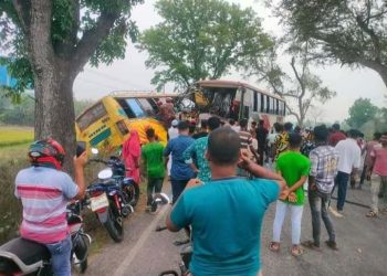 নড়াইল-ঢাকা মহাসড়কে বাসের মুখোমুখি   সংঘর্ষে চালক নিহত, আহত ১৫