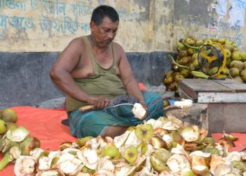 বগুড়ায় তাল শাঁসের কদর বেড়েছে 