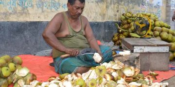 বগুড়ায় তাল শাঁসের কদর বেড়েছে 