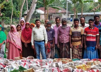 জয়পুরহাটে কৃষি অফিসের উদ্যোগে বস্তায় আদা চাষ।