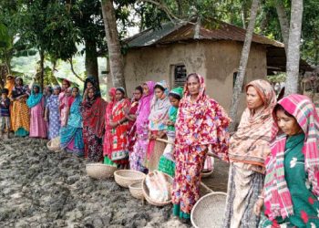ঝিনাইদহে ঘোড়শাল ইউনিয়নে কর্মসৃজন প্রকল্পের কাজের ব্যাপক অনিয়ম।