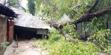 আকস্মিক ঝড়ে রৌমারী উপজেলার কয়েকটি গ্রাম দুই শতাধিক বাড়ীসহ জমির ফসল নষ্ট।
