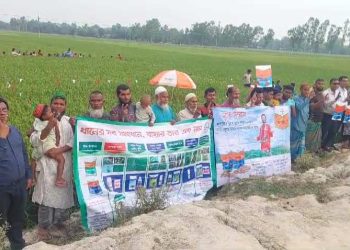 পঞ্চগড়ে নতুন জাতের ধান নিয়ে মাঠ দিবস অনুষ্ঠিত।