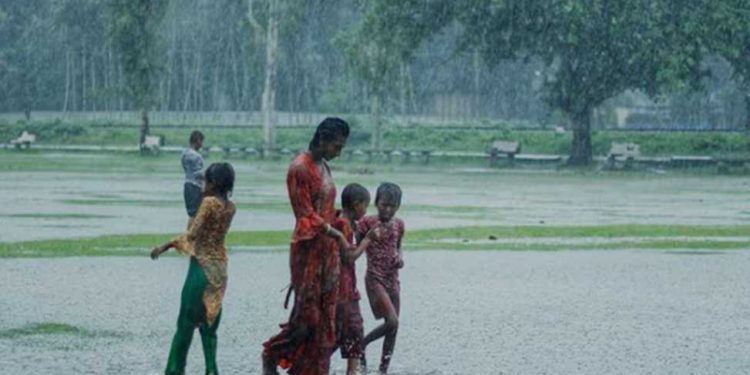 ৪৬ দিন পড়ে শরণখোলায় স্বস্তির বৃষ্টি।