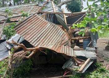 নড়াইলে কালবৈশাখী ঝড়ে বাড়িঘর সহ ফসলের ব্যাপক ক্ষতি। 