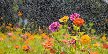 তাপমাত্রা কমে প্রশমিত উত্তাপ;সারাদেশে স্বস্তি।