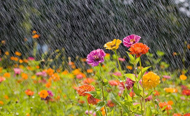 তাপমাত্রা কমে প্রশমিত উত্তাপ;সারাদেশে স্বস্তি।