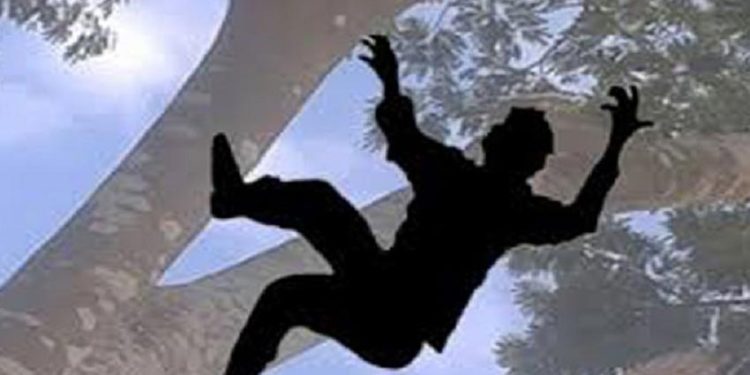 ডুমুরিয়ায় তাল গাছ থেকে পড়ে ১ দিন মজুরের মৃত্যু! 