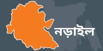 লিচু পাড়তে গিয়ে গাছ থেকে পড়ে  মারা গেলেন বৃদ্ধা মা। 