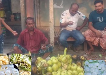 গরমে স্বস্তি পেতে মানিকগঞ্জে কদর বেড়েছে তাল শাঁসের।