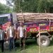 লামা ডাম্পারসহ সেগুন গাছের বল্লি জব্দ করেছেন বন বিভাগ।