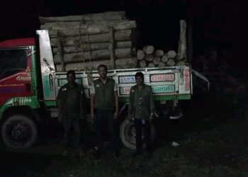 লামা বন বিভাগের আওতাধীন বিভিন্ন রেঞ্জে বন রক্ষা বাহিনীর অব্যাহত অভিযান।  