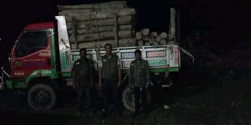 লামা বন বিভাগের আওতাধীন বিভিন্ন রেঞ্জে বন রক্ষা বাহিনীর অব্যাহত অভিযান।  