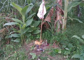 পাঁচবিবি উপজেলার পূর্ব উচনা গ্রামে, দেখা গেল কালো জাদু।