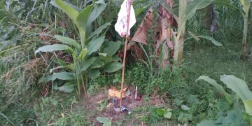 পাঁচবিবি উপজেলার পূর্ব উচনা গ্রামে, দেখা গেল কালো জাদু।