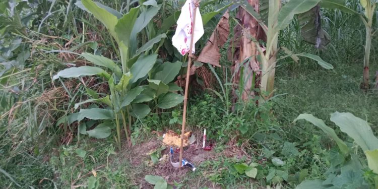 পাঁচবিবি উপজেলার পূর্ব উচনা গ্রামে, দেখা গেল কালো জাদু।