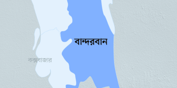 লামা বন বিভাগের তৈন রেঞ্জে গাছ চোর আটক