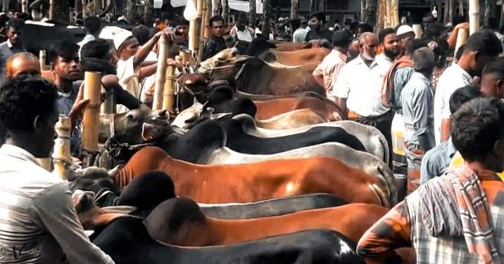 রৌমারী ও কর্ত্তিমারী হাটে অতিরিক্ত টোল আদায়ে ক্রেতা বিক্রেতা বিপাকে।