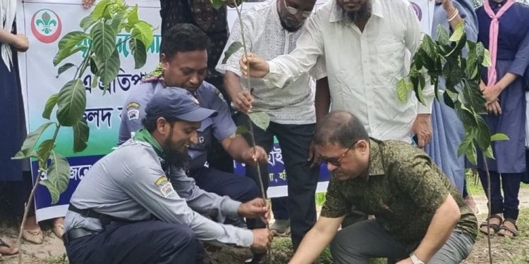 মাধবপুরে স্কাউট গ্রুপের চারা রোপণ কর্মসূচি উদ্বোধন ।