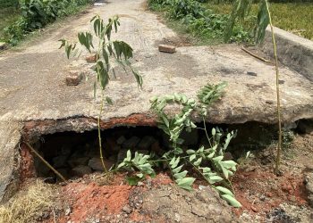 ভুতালের মোর টু ফতেপুর রাস্তায় কালভার্ট ভেঙ্গে যান চলাচল বন্ধ।