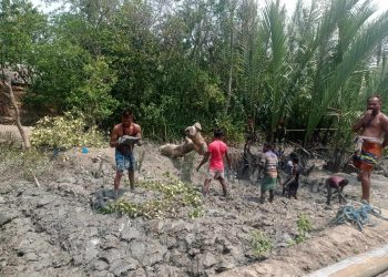 মোঃ মহিউদ্দিন মোল্লার নেতৃত্বে অবহেলিত রাস্তার চলছে ।