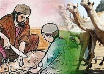 আজ পবিত্র ঈদুল আযহা।