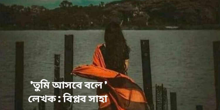 ‘তুমি আসবে বলে ‘ লেখক : বিপ্লব সাহা।