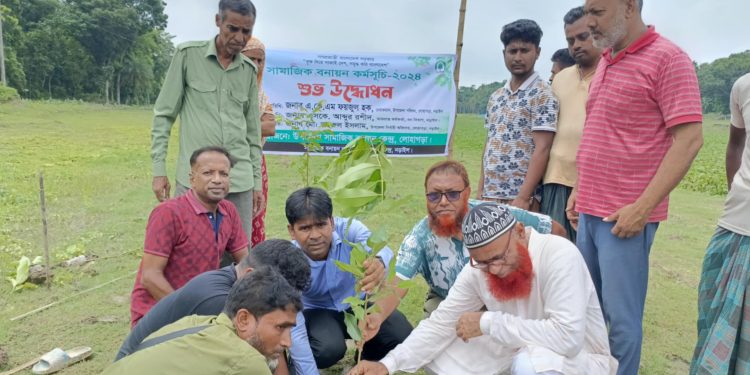 বৃক্ষদিয়ে সাজাই দেশ, গড়ি সমৃদ্ধ করি বাংলাদেশ।