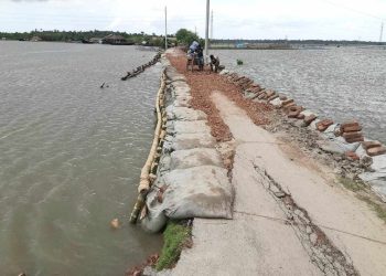 বাগেরহাটের রামপালের বড়দিয়ার রাস্তাটি মেরামত করলেন সাইফুজ্জামান।