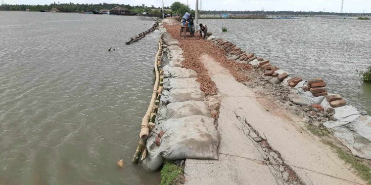 বাগেরহাটের রামপালের বড়দিয়ার রাস্তাটি মেরামত করলেন সাইফুজ্জামান।