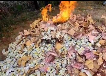 বাগেরহাটে ৬১,৫৫০ পিচ নকল বিড়ি জব্দ, এক লক্ষ টাকা জরিমানা।