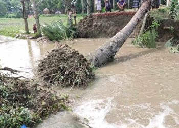 বন্যার স্রোতে ভেঙে গেছে সড়ক, চরম দুর্ভোগে গ্রামবাসী! 