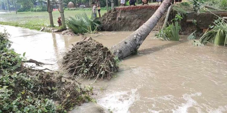 বন্যার স্রোতে ভেঙে গেছে সড়ক, চরম দুর্ভোগে গ্রামবাসী!