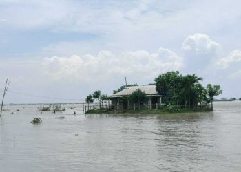 যমুনার পানি সামান্য কমলেও বিশুদ্ধ পানি ও খাবার সংকটে বানভাসি মানুষ ।