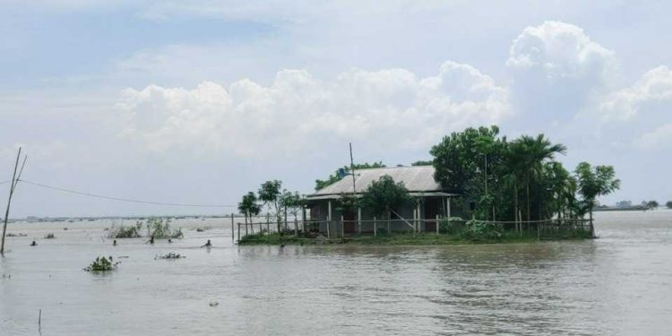 যমুনার পানি সামান্য কমলেও বিশুদ্ধ পানি ও খাবার সংকটে বানভাসি মানুষ ।