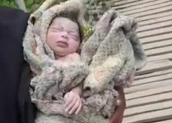 রৌমারীতে এক মা বাঁশের সাঁকোর উপর সন্তান প্রসব। 