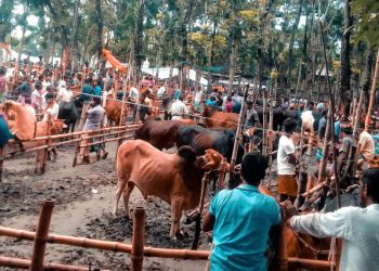 রৌমারী হাট বাজারে আবারও অতিরিক্ত টোল আদায়ের অভিযোগ।