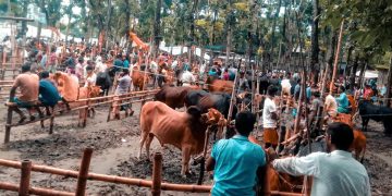 রৌমারী হাট বাজারে আবারও অতিরিক্ত টোল আদায়ের অভিযোগ।