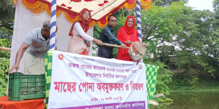 মাদারগঞ্জে রাজস্ব খাতের আওতায় ২০২৪-২০২৫ অর্থ বছরের মাছের পোনা অবমুক্তকরণ ও বিতরণ।