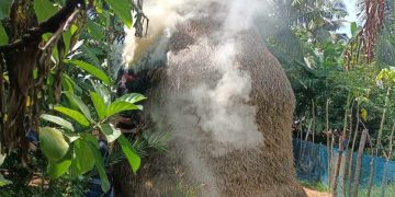 বাগেরহাটের রামপালে জোরপূর্বক জমি দখল নিতে হামলা ও অগ্নিসংযোগের অভিযোগ।