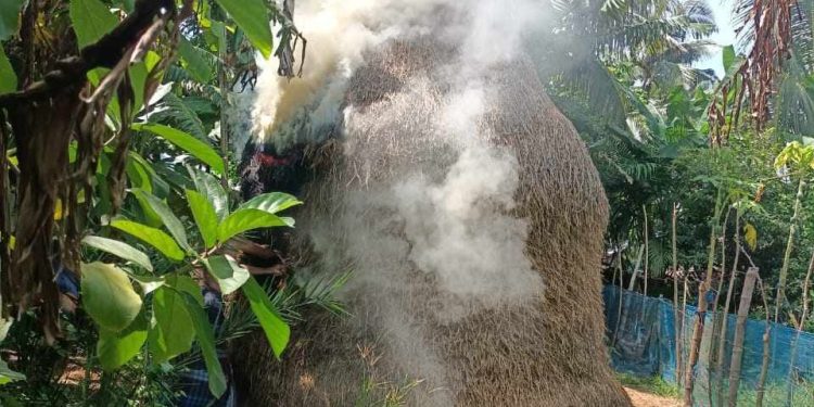 বাগেরহাটের রামপালে জোরপূর্বক জমি দখল নিতে হামলা ও অগ্নিসংযোগের অভিযোগ।