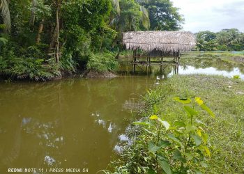 বাগেরহাটের রামপালে কৃষকের জমি অবৈধভাবে দখলের অভিযোগ।