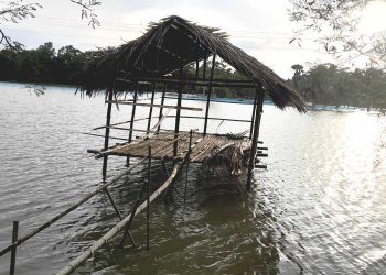 বাগেরহাটের রামপালে নিরীহ শিক্ষকের বৈধ জমি দখল চেষ্টার অভিযোগ।