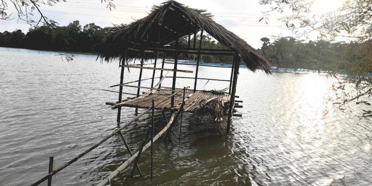 বাগেরহাটের রামপালে নিরীহ শিক্ষকের বৈধ জমি দখল চেষ্টার অভিযোগ।