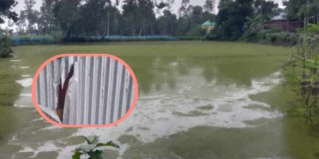 টাঙ্গাইলে গোপালপুরে দুস্কৃতিকারীরা সেনা সদস্যের বসতবাড়ীতে হামলা ও চাঁদা দাবি।